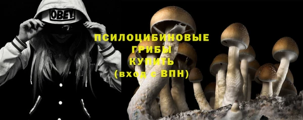 герыч Сосновка
