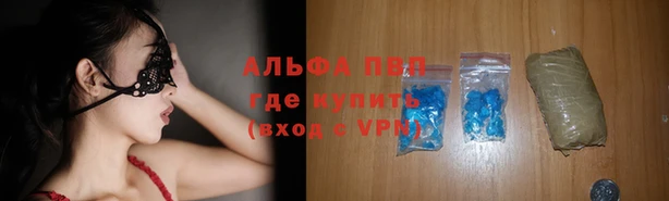 спиды Богданович