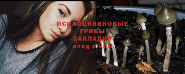 трава Богородск
