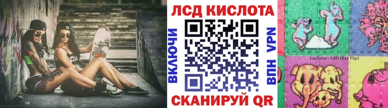 KRAKEN как войти  Кологрив  Наркотические марки 1500мкг 