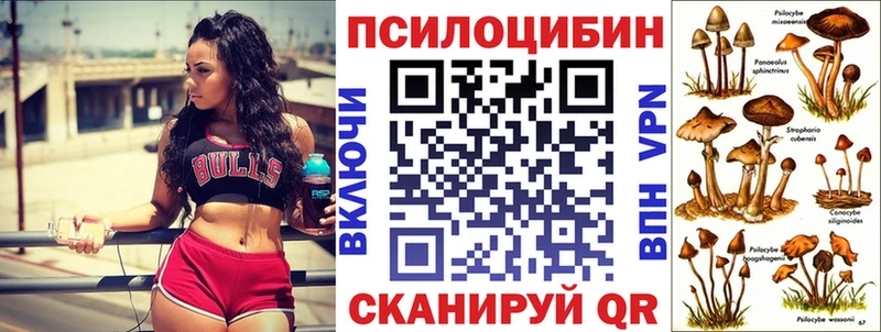Псилоцибиновые грибы Psilocybe  Кологрив 